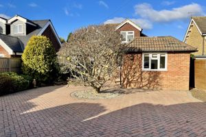 Photo 3- click for photo gallery